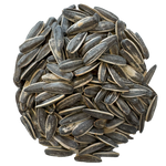Sunflower seeds