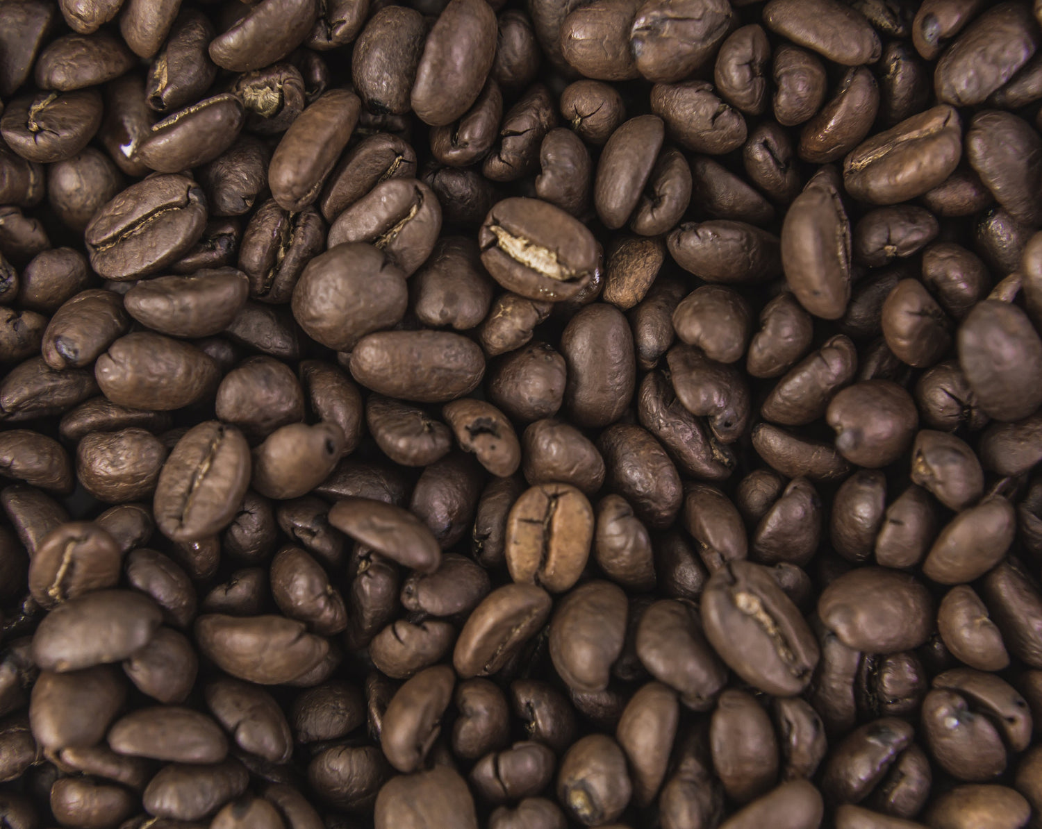 coffee beans